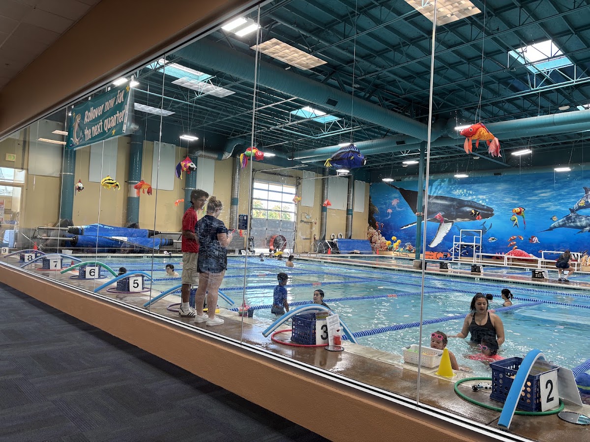 American Swim Academy