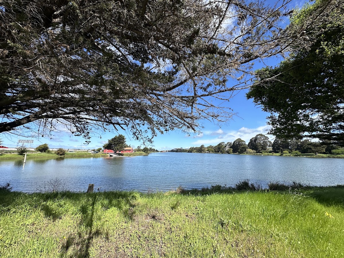 Aquatic Park in Berkeley, California