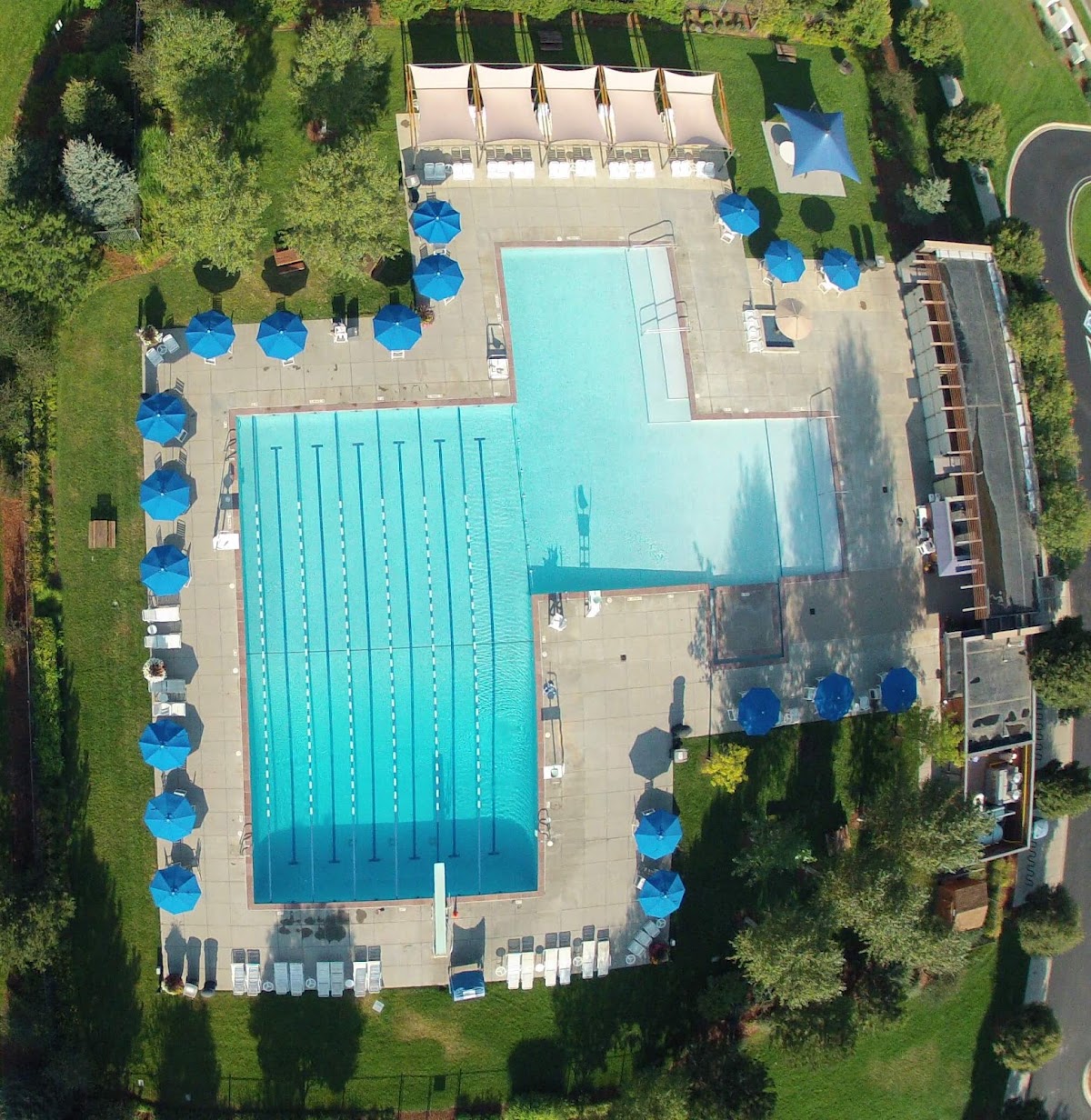 Aviator Pool
