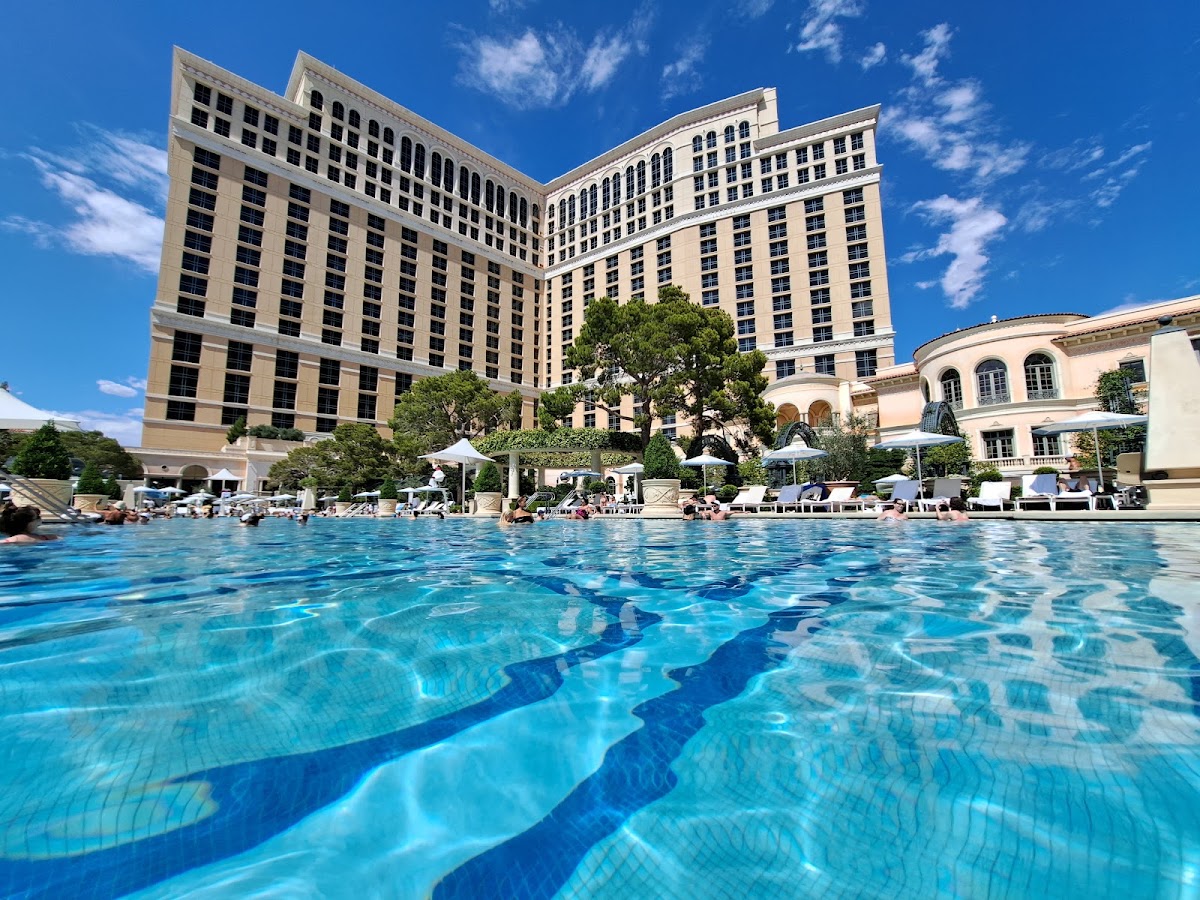 Bellagio Pool in Las Vegas, Nevada