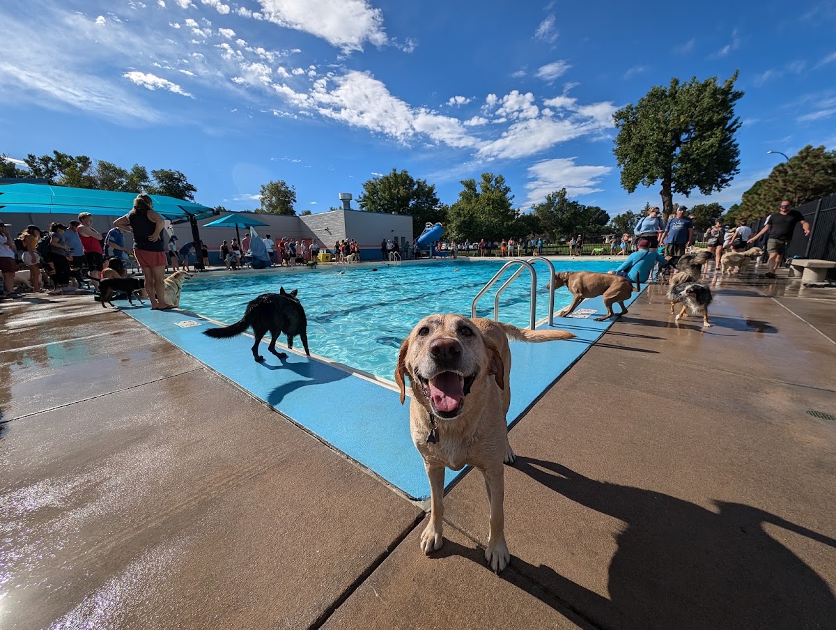 Berkeley Park Outdoor Pool
