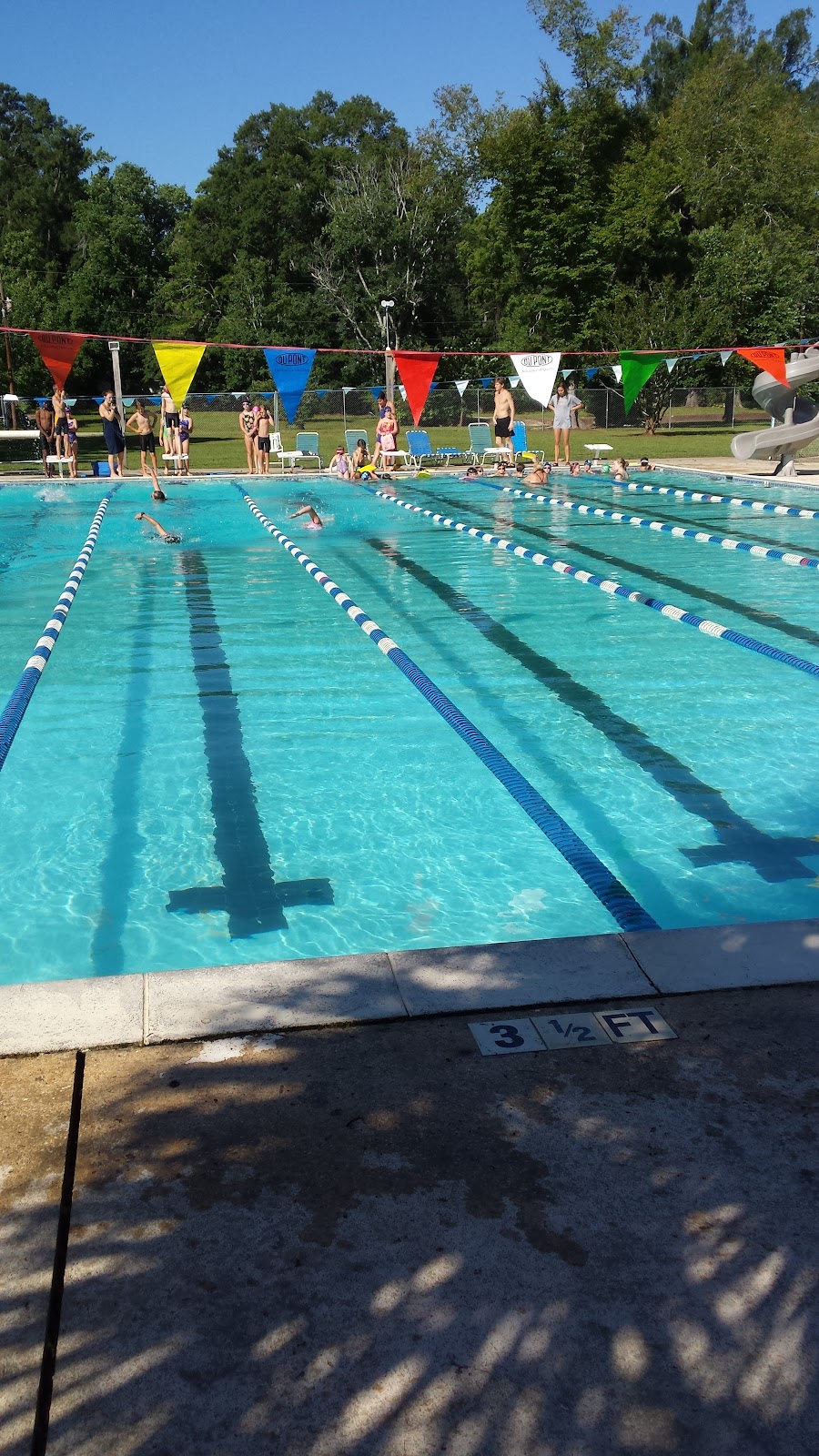 Brynwood Swim Club