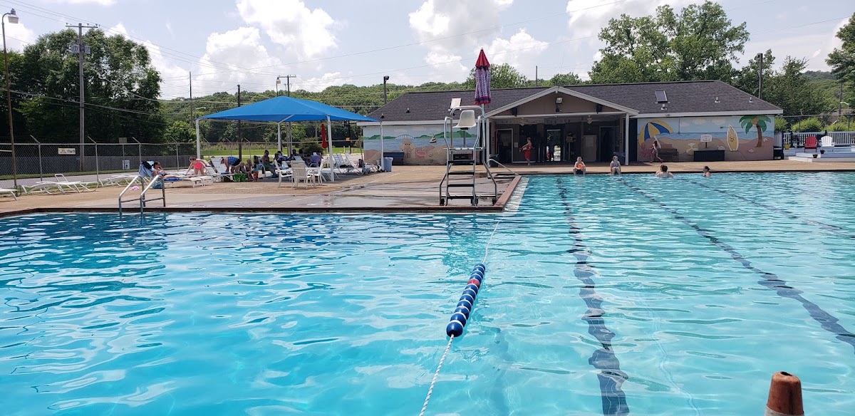 Camelot Pool