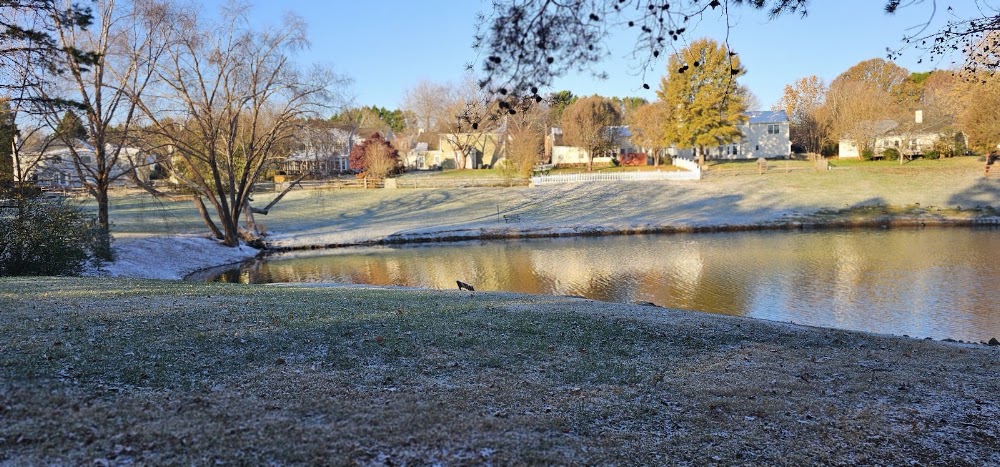 Cheshunt Community Pool (For Cheshunt Residents Only) in Charlotte, North Carolina