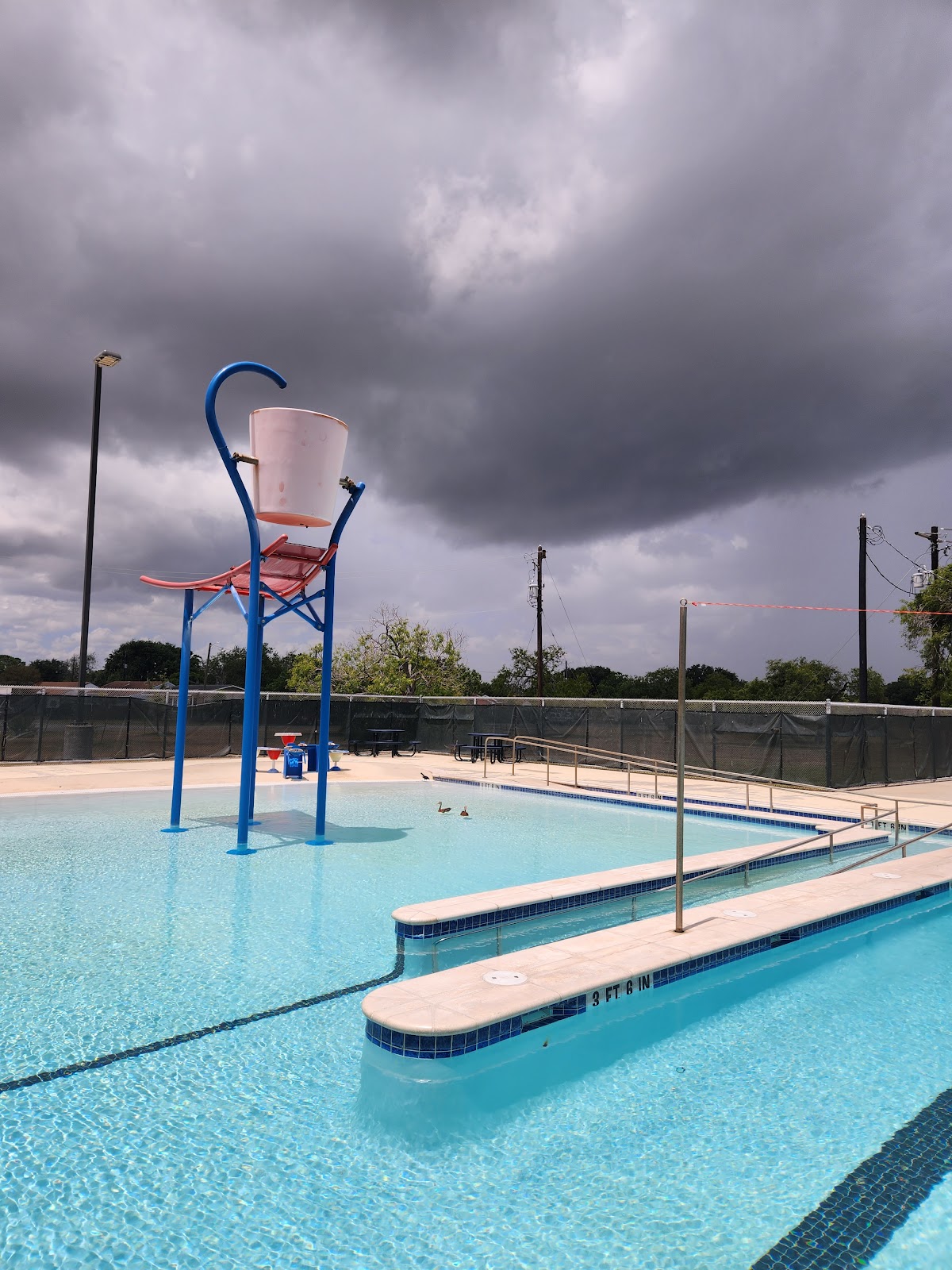 Collier Pool