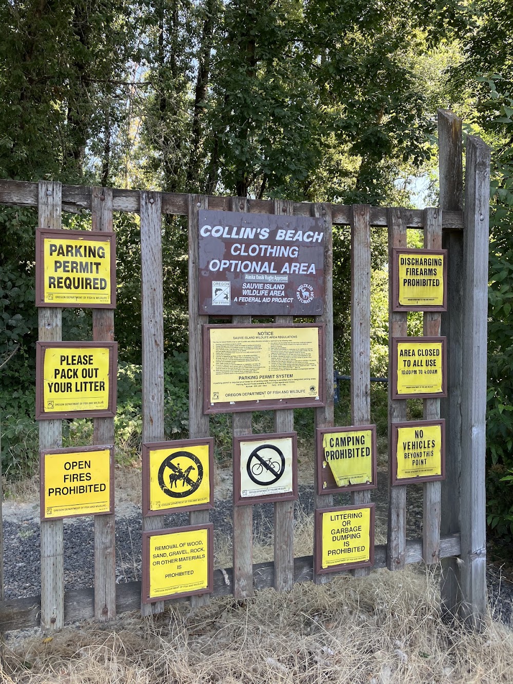 Collins Beach (clothing optional) in Portland, Oregon
