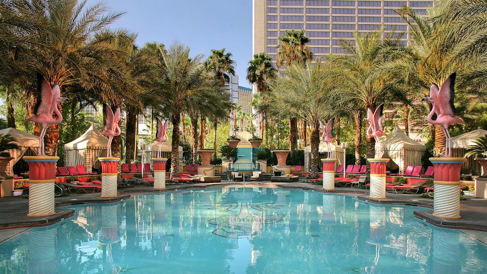 Flamingo Family Pool in Las Vegas, Nevada