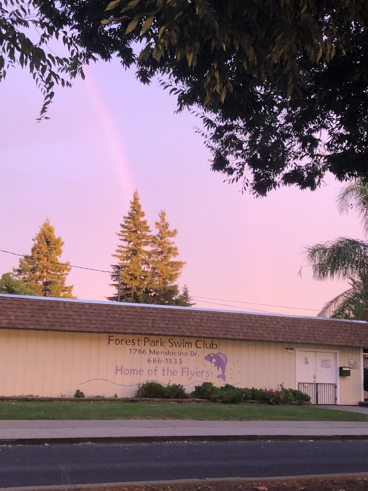 Forest Park Swim Club