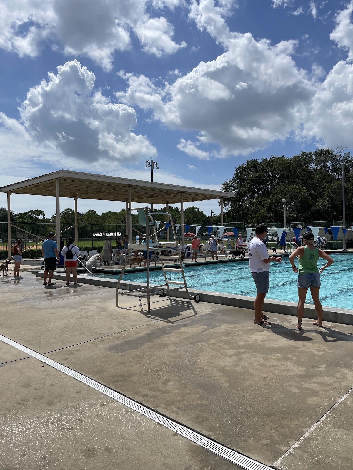 Fossil Park Pool