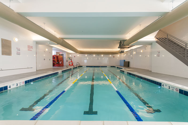 Freestyle Swim in Queens, New York