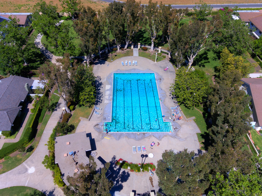 Junior Olympic park & pool