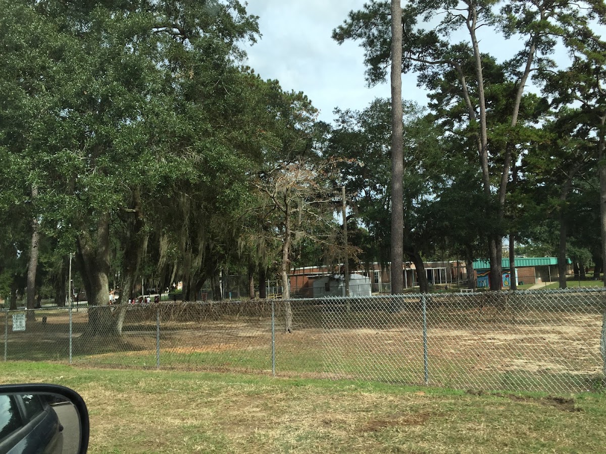 Levy Park Pool