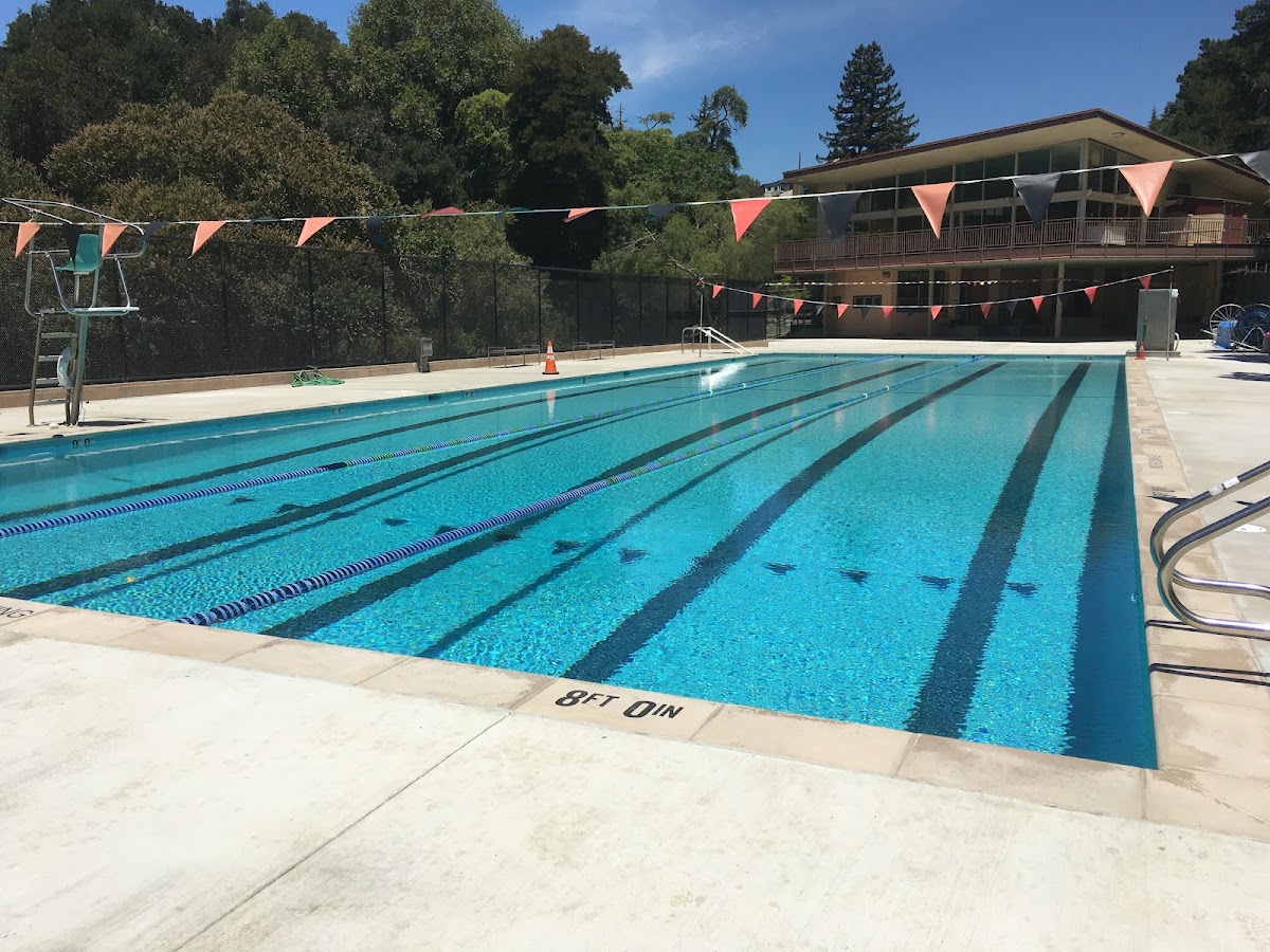 Lions Pool
