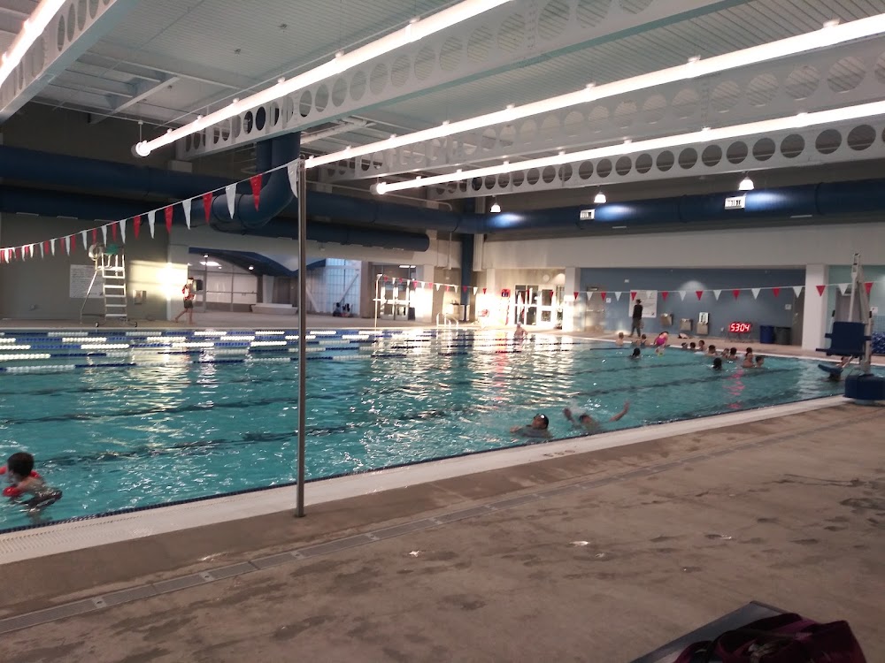 Los Altos Pool