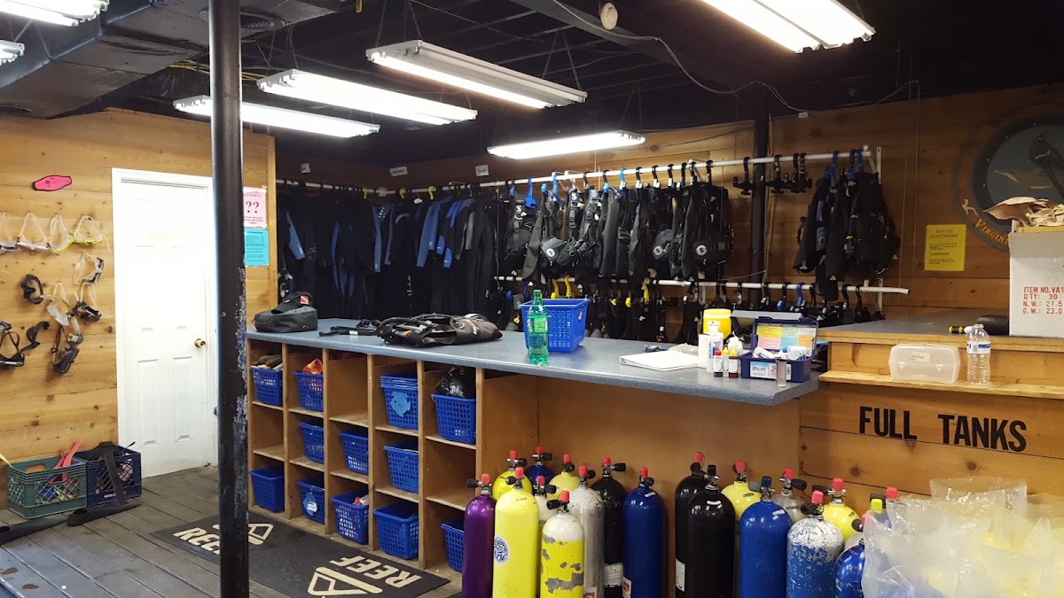 Lynnhaven Dive Center & LDC Swim School