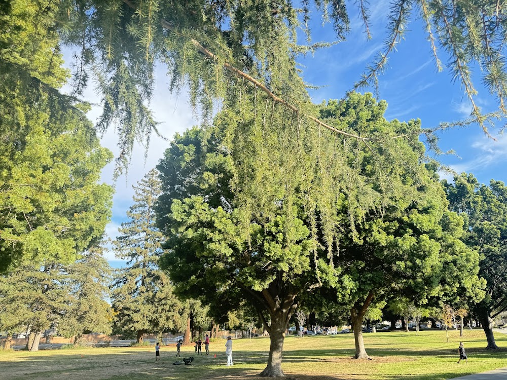 Mary Gomez Park and Pool in Santa Clara, California