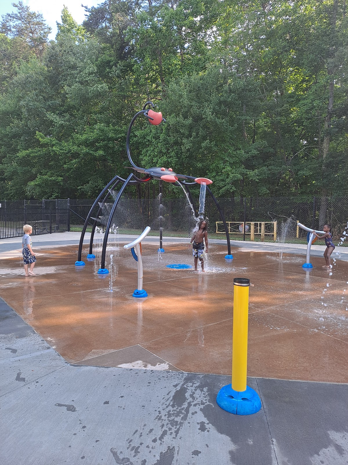 Mineral Springs Pool