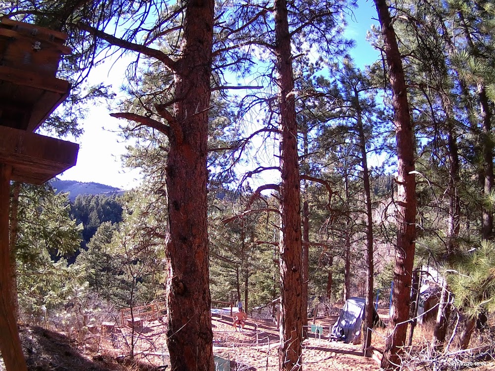 Mountain Air Ranch