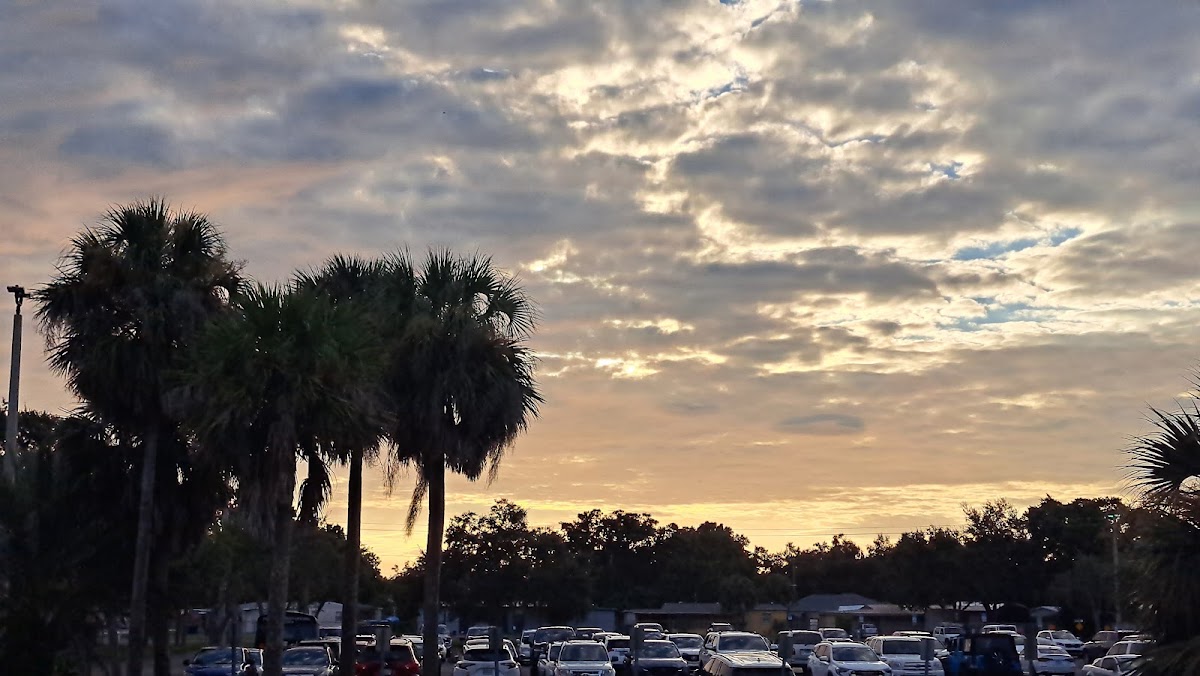 North Fort Myers High School Pool