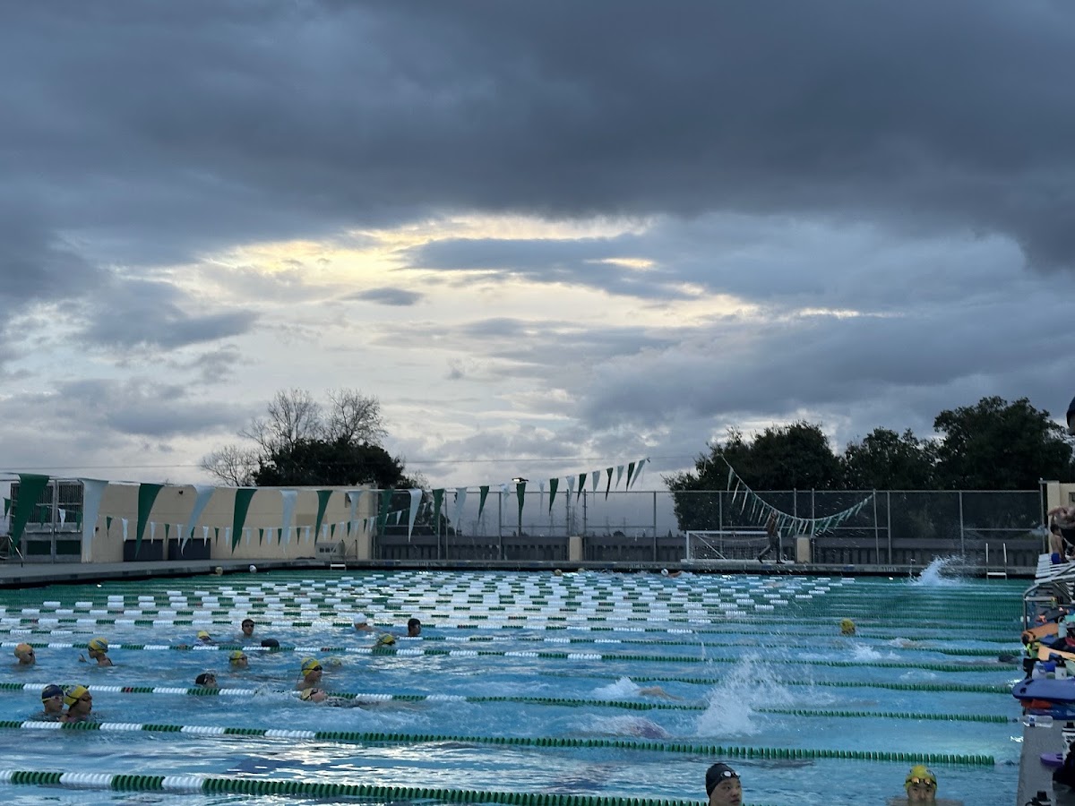 Ohlone Swimming Pool