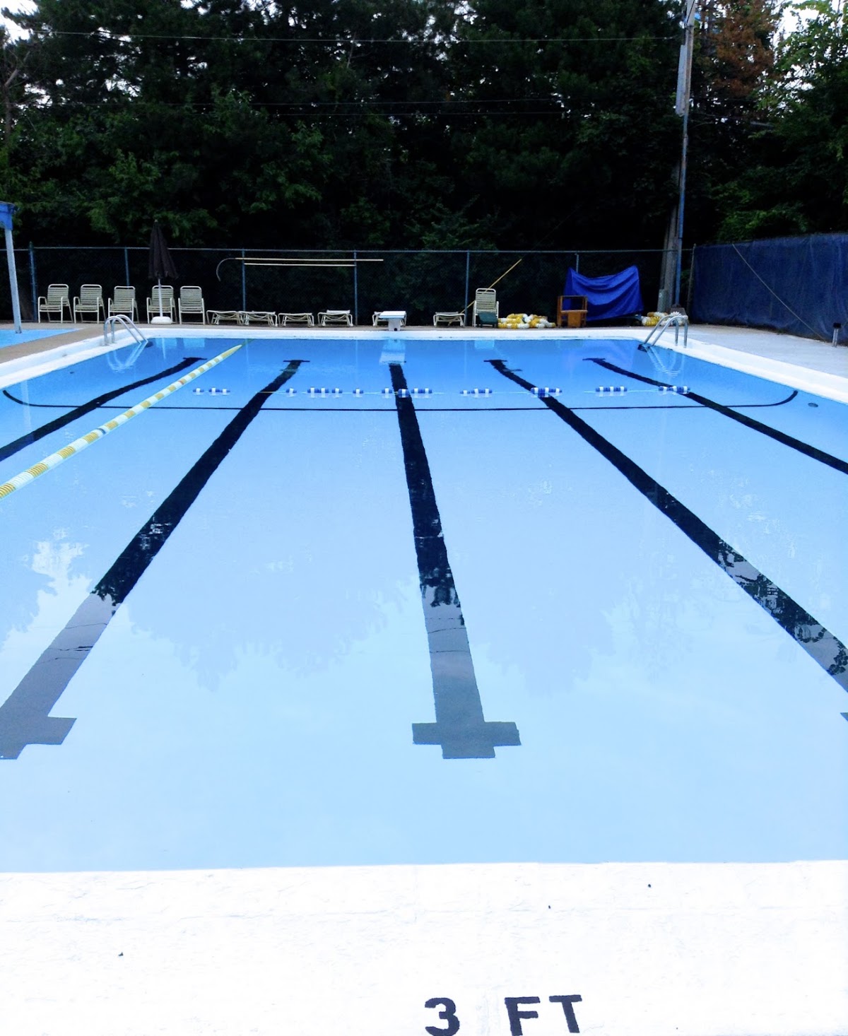 Orchard Hills Athletic Club - Dolfin Pool