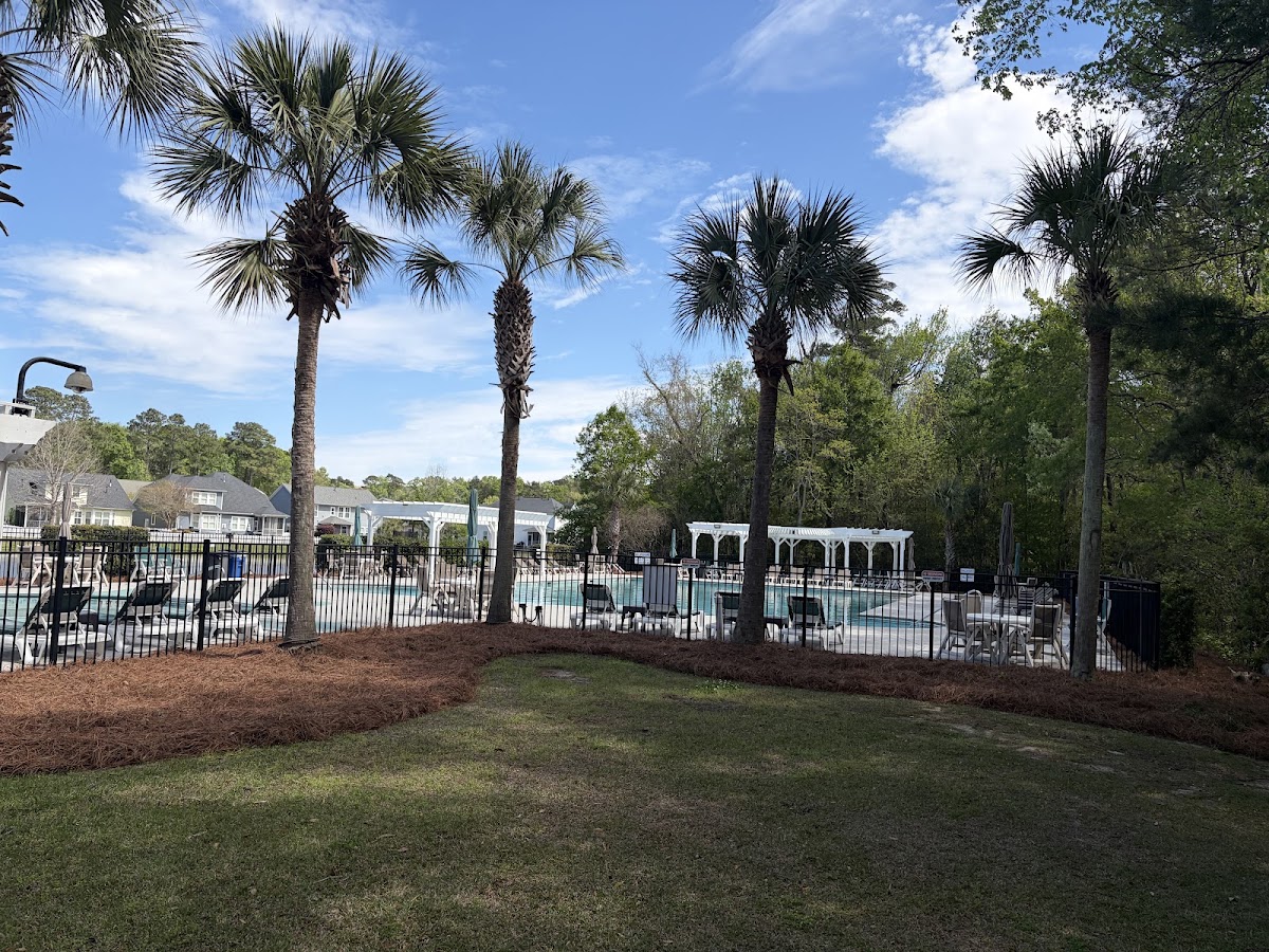 Palmetto Forest Pool