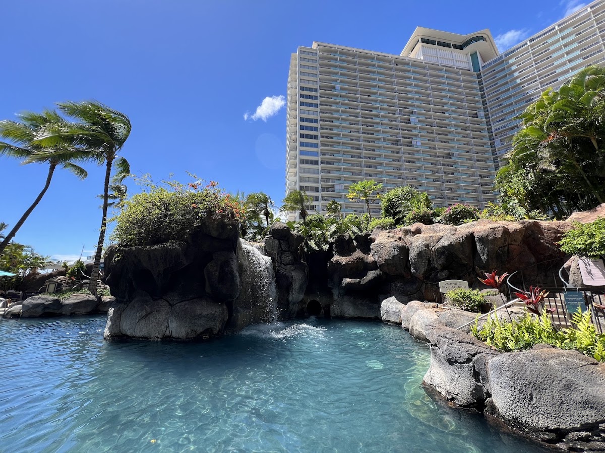 Paradise Pool