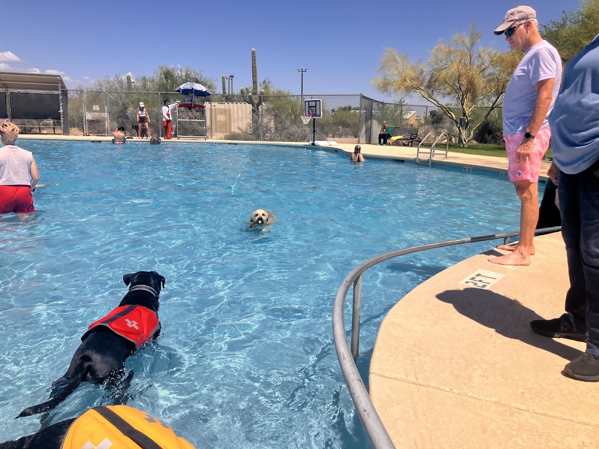 Picture Rocks Pool
