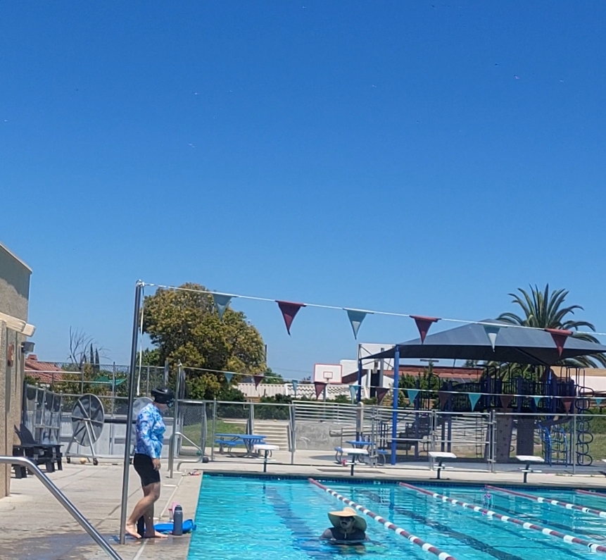 Polar Bear Swim Club
