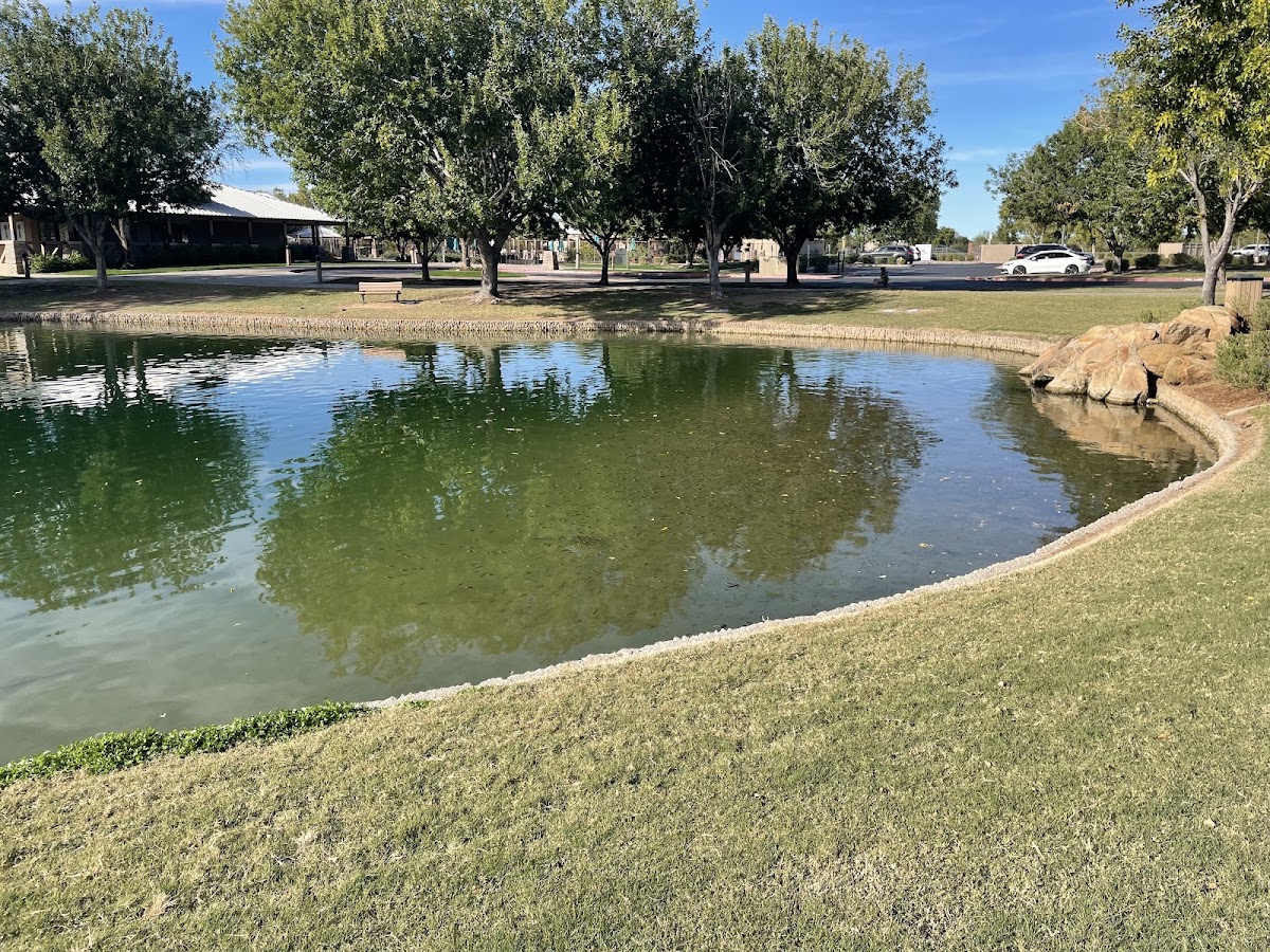 Ranch House Pool - Power Ranch