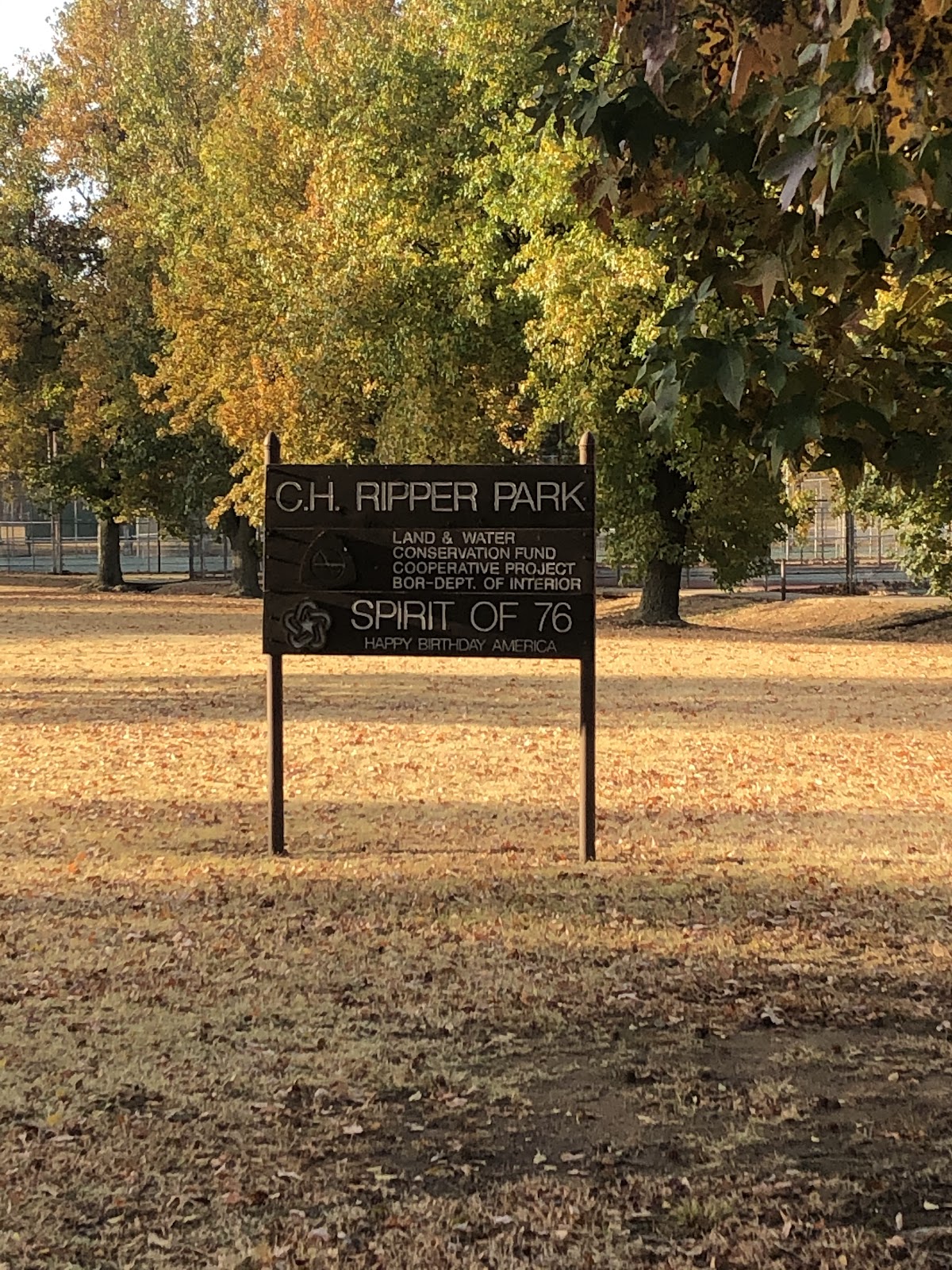 Ripper Pool