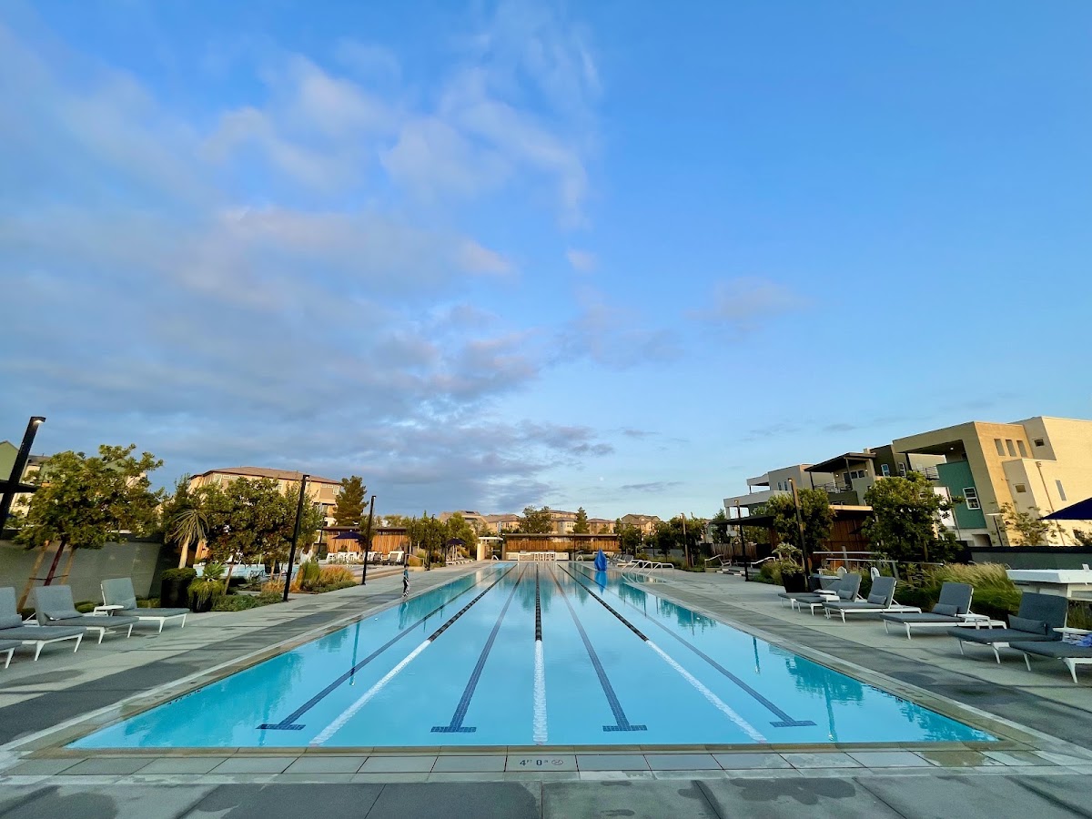 Rise Park - Swimming Pool