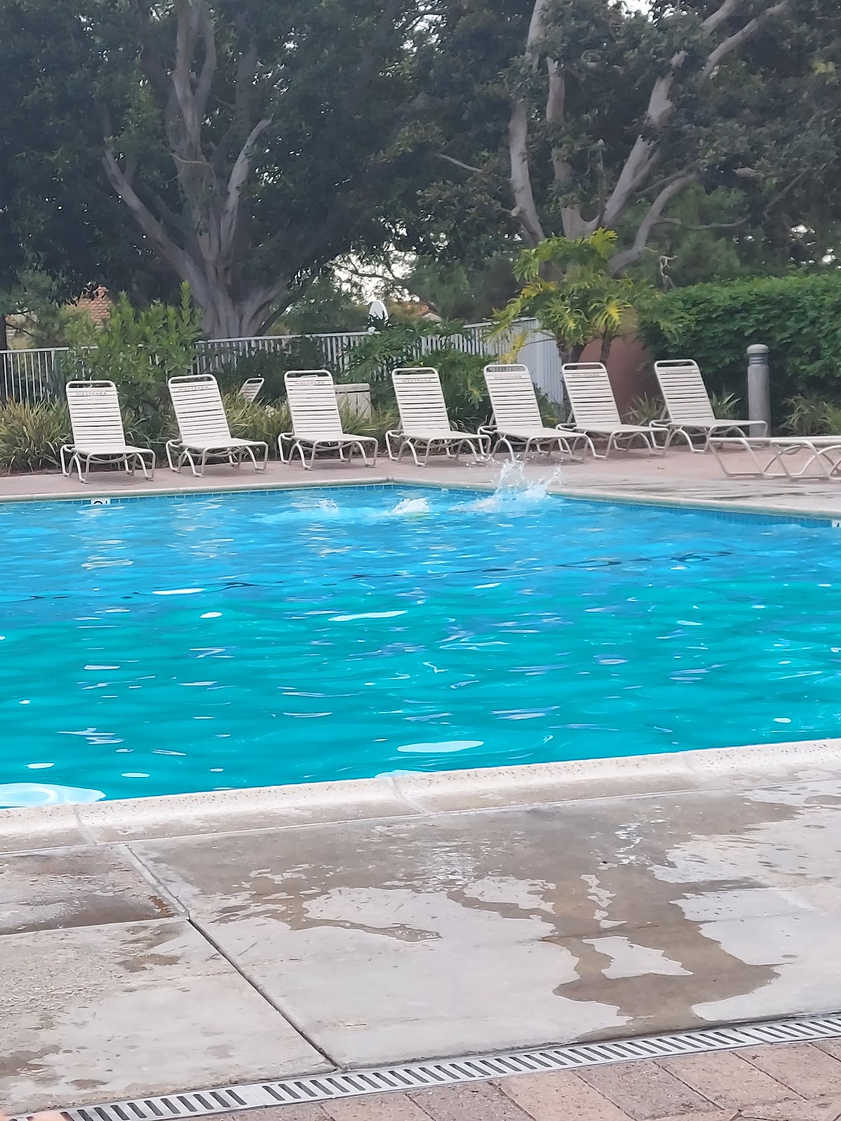 San Paulo Pool