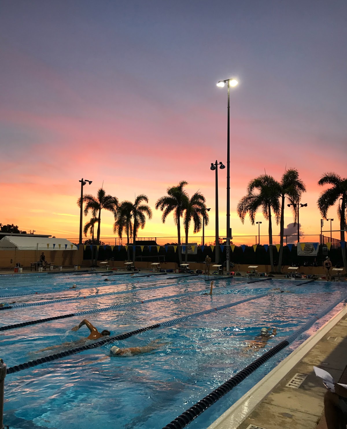 South Florida Aquatic Club