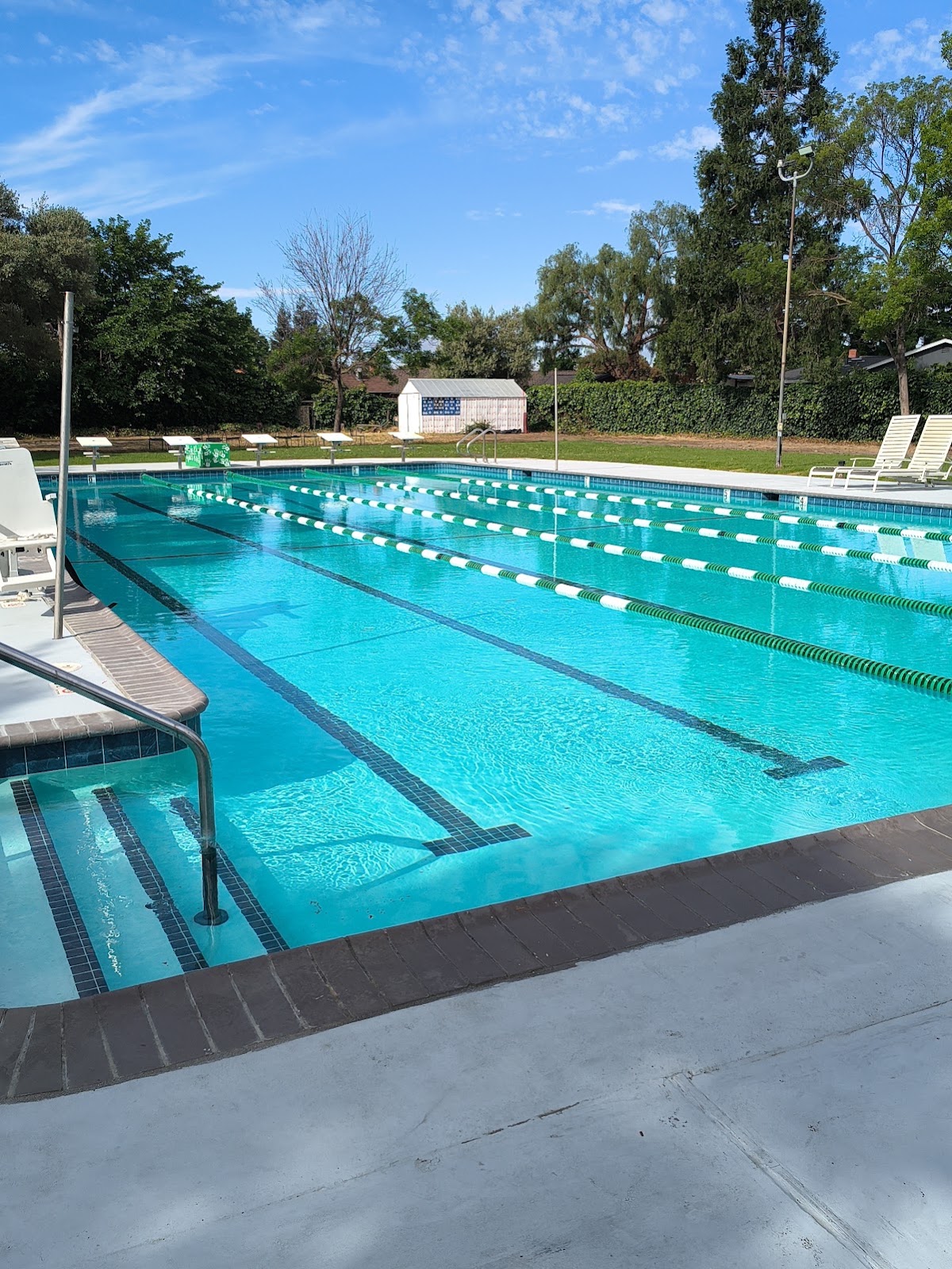 Springwood All Abilities Swim Club