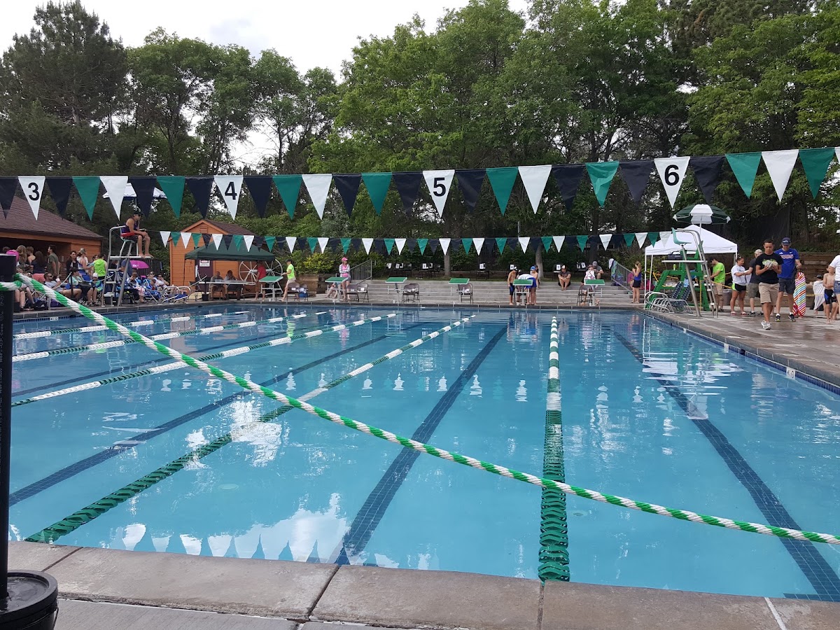 Thornton Park Village Pool