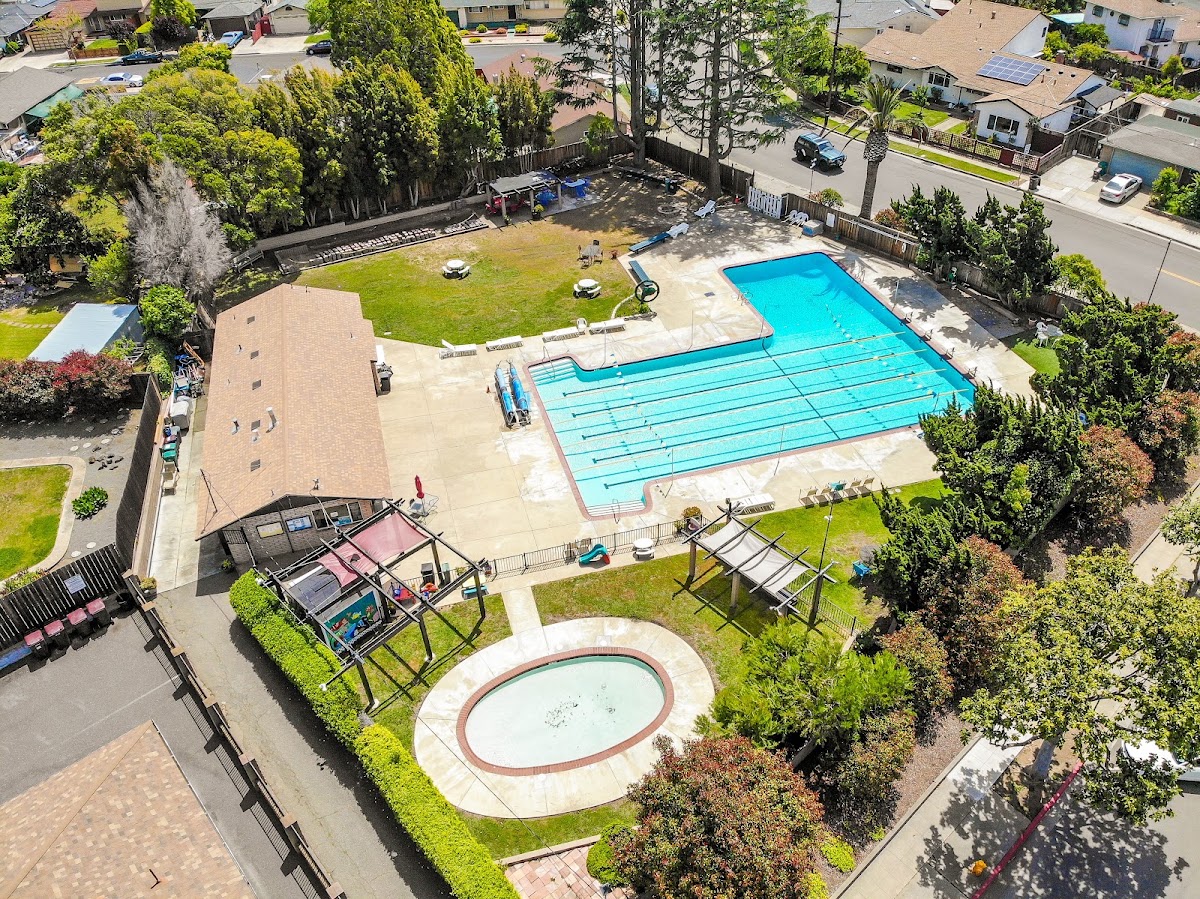 Treeview Swim Club