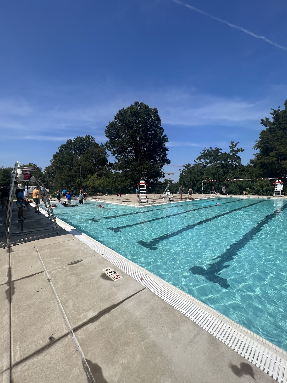Warwick Pool
