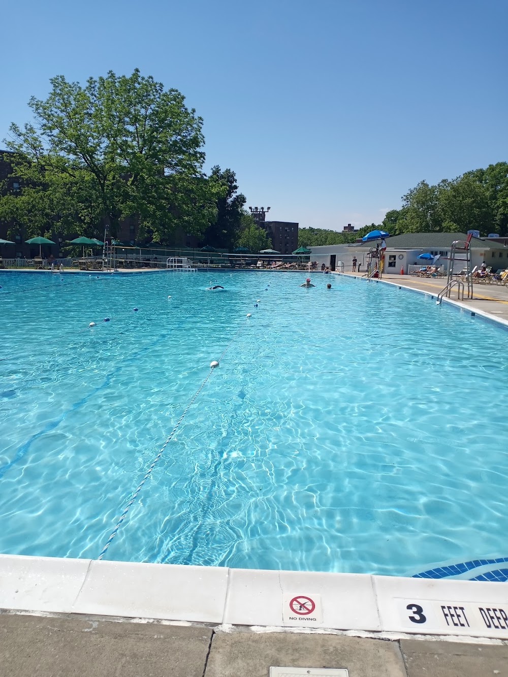 Windsor Park Swim Club